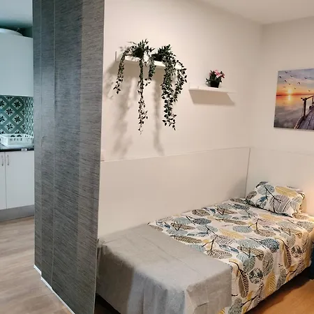 Estudios 55 - - Céntrico - Rh * Santander