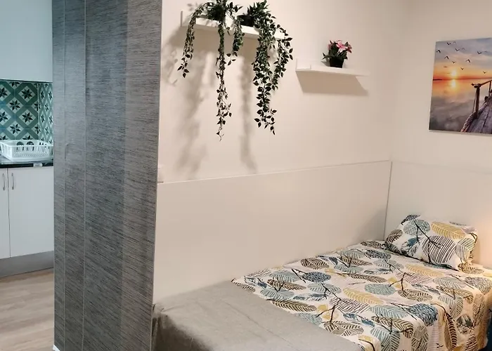 Estudios 55 - - Centrico - Rh * Santander