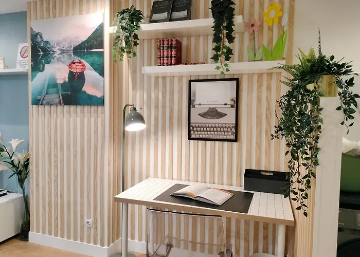 Estudios 55 - - Centrico - Rh * Santander