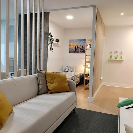 Estudios 55 - - Centrico - Rh * Сантандер