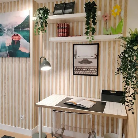 Estudios 55 - - Centrico - Rh * Сантандер